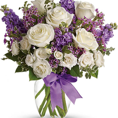 Purple Paramour