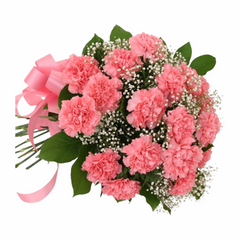 CARNATIONS