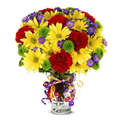 DAISIES