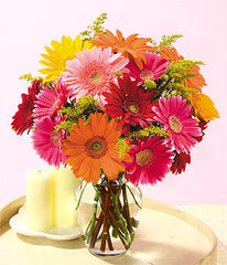 GERBERAS