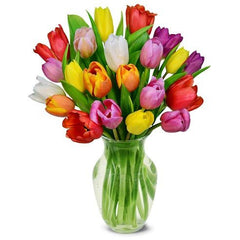 TULIPS