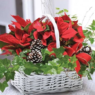 Holiday Planter Basket