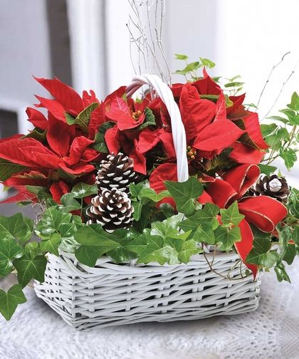 Holiday Planter Basket