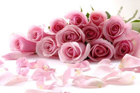 12 Pink Roses