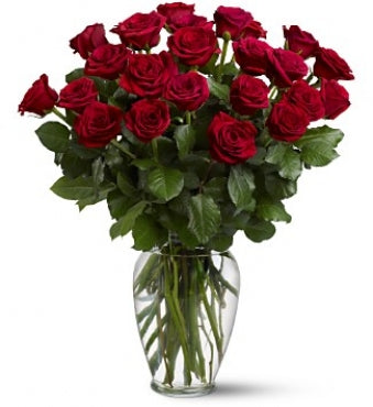 TWO DOZEN LONG STEMMED RED ROSES